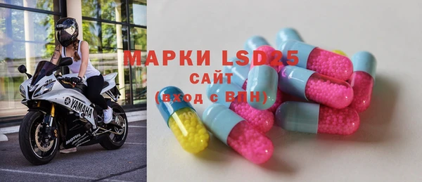 ГАЛЛЮЦИНОГЕННЫЕ ГРИБЫ Козловка