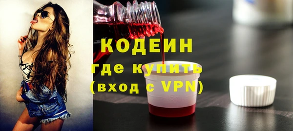 твердый Козельск