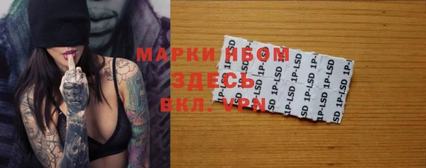 твердый Козельск