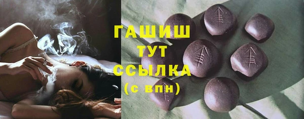 твердый Козельск
