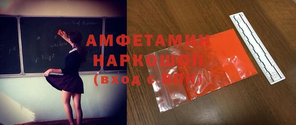 ГАЛЛЮЦИНОГЕННЫЕ ГРИБЫ Козловка