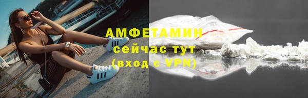 твердый Козельск