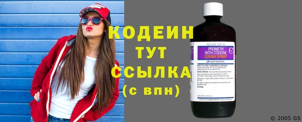 твердый Козельск