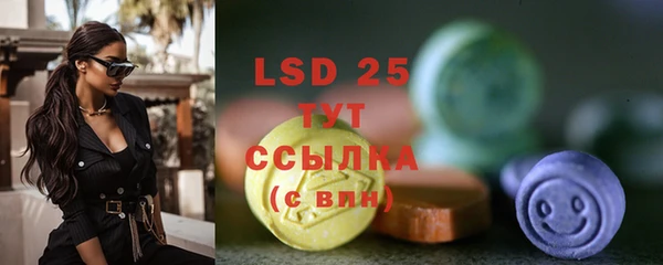 ГАЛЛЮЦИНОГЕННЫЕ ГРИБЫ Козловка