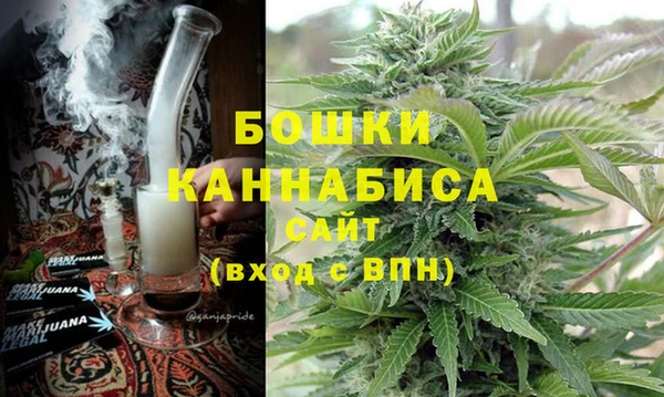 твердый Козельск