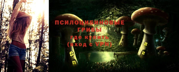 ешки Сосновый Бор
