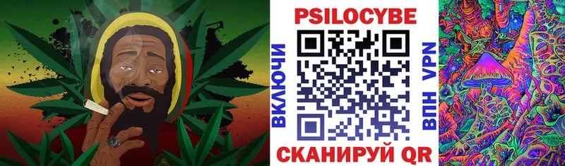 Купить  Белоозёрский  Псилоцибиновые грибы Psilocybe 